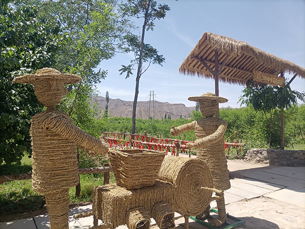 image007.jpg image007.jpg