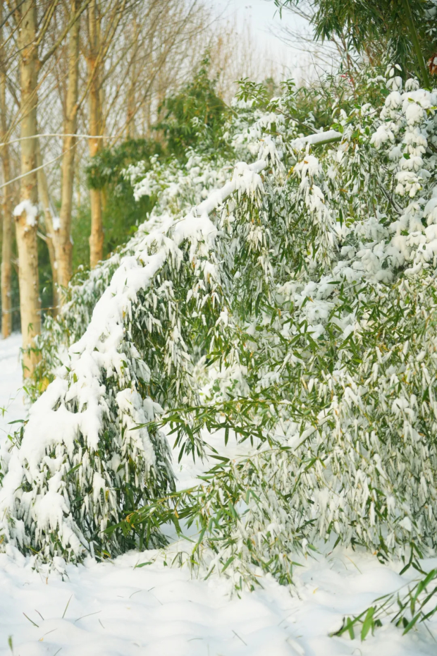 640 (6).jpg 640 (6).jpg