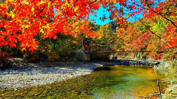 image009 (2).jpg image009 (2).jpg